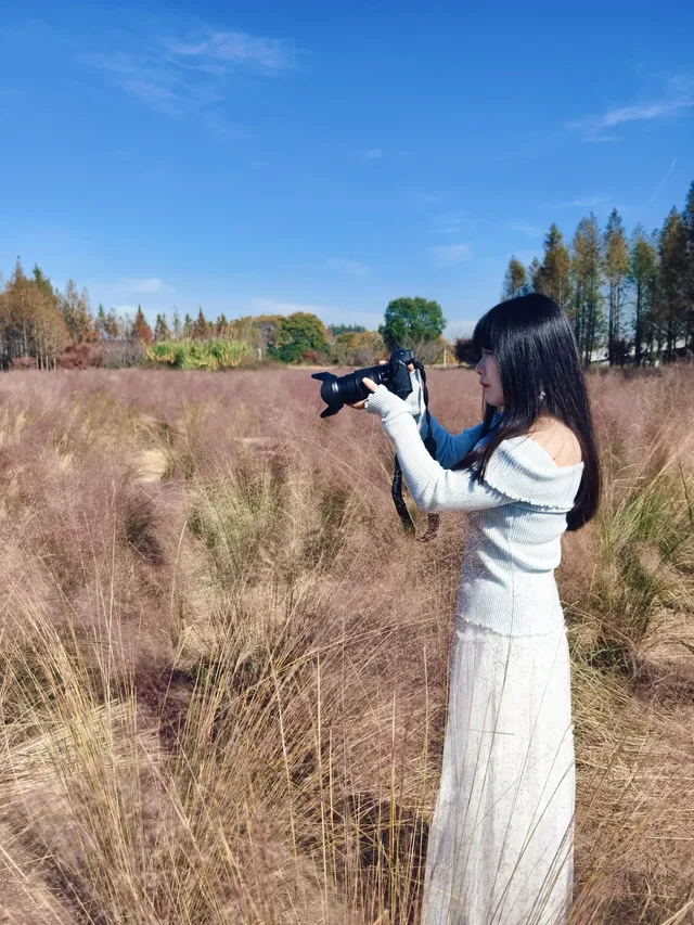 週末玩轉湖州莫干山 and 下渚湖濕地公園