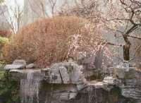 靜安雕塑公園必玩攻略治癒系路線