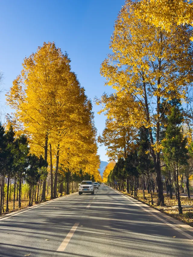 瀘沽湖迎來了一年只有十天左右的風景 瀘沽湖迎來了一年只有十天左右的風景