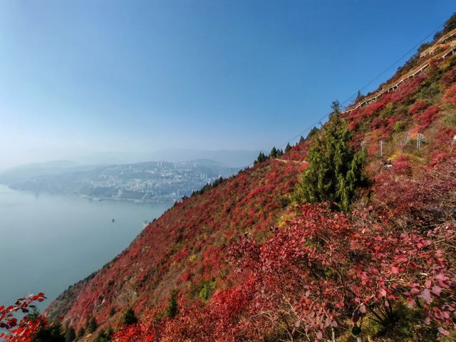 重慶三峽龍脊,中國最美的徒步步道 重慶三峽龍脊,中國最美的徒步步道