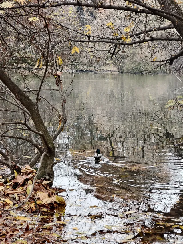 歐洲城市流浪記3——米蘭