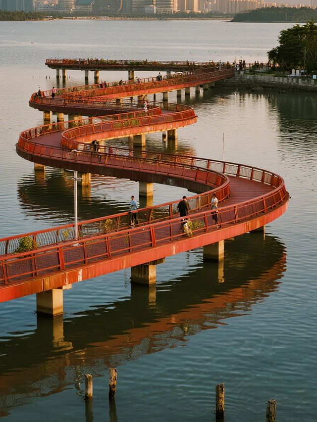 深圳冬日親子遛娃 福田紅樹林三大景區全攻略！