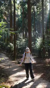 墜入「暮光森林」平陽滿田森林公園