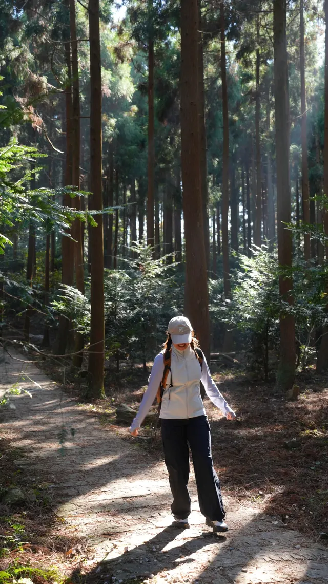 墜入「暮光森林」平陽滿田森林公園 墜入「暮光森林」平陽滿田森林公園