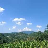 【雲南德雲洲情侶自駕3天攻略】浪漫邂逅大自然，開啟你的夢幻之旅！    爆點預警： 這