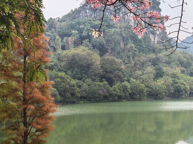 柳州初體驗，愛了愛了