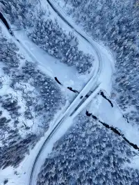 答應我，冬天一定要去一趟阿勒泰