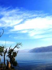 蒼山耳海4天3晚旅行攻略