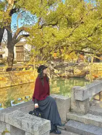 濮院賞秋地圖|拍出明星同款大片!