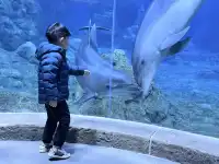 舟山-普陀山 還願遛娃之旅