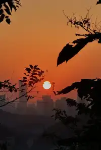 長沙嶽麓山的秋天