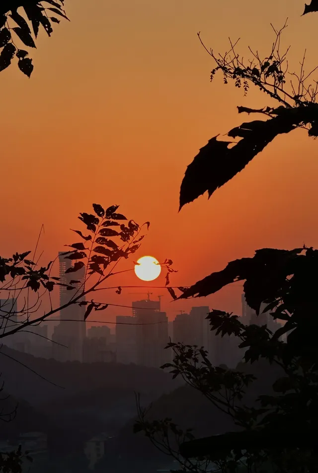 長沙嶽麓山的秋天 長沙嶽麓山的秋天