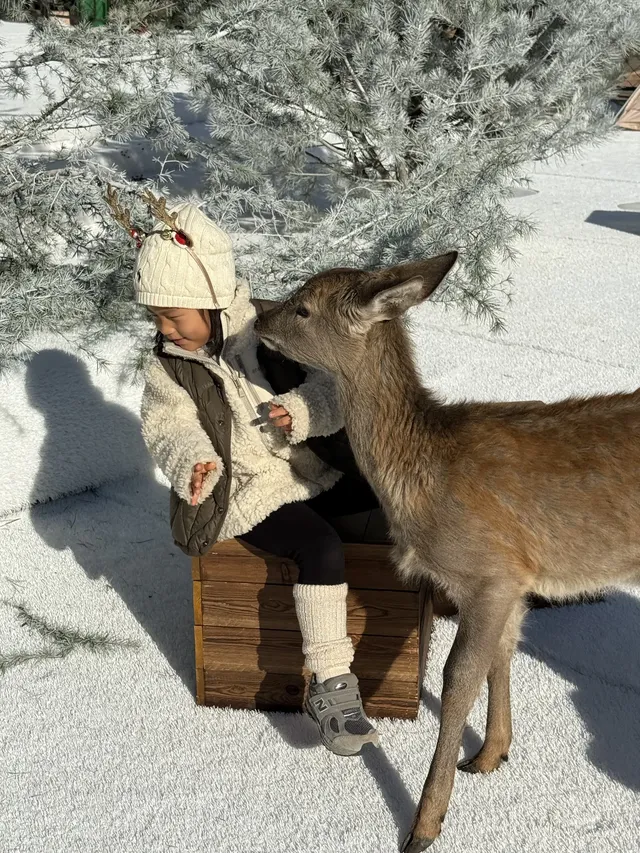 小來黃島嘉年華海信廣場啦~ 小來黃島嘉年華海信廣場啦~