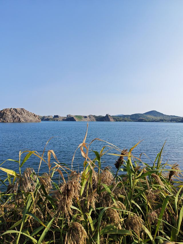 神仙湖絕美婚紗取景地 神仙湖絕美婚紗取景地