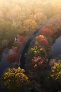 該怎麼向你描述南京的秋天呢