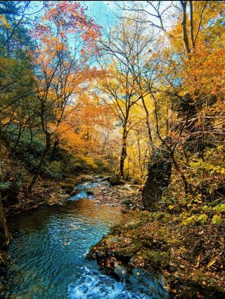 Complete Guide to Zhejiang North Grand Canyon | Cliff Swing + Glass Suspension Bridge for Ultimate Fun
