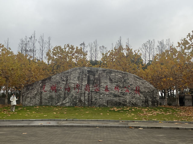 藏在上海的仙蹤之境!海灣國家森林公園美成童話世界 藏在上海的仙蹤之境!海灣國家森林公園美成童話世界