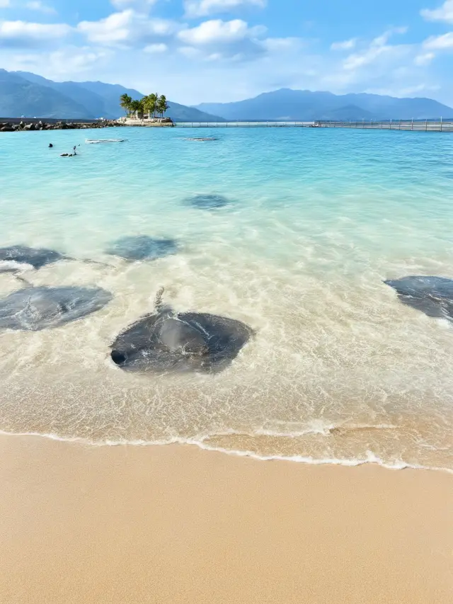 6天玩轉萬寧-陵水這份攻略太香了快碼住