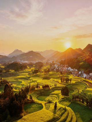 婺源の菜の花畑｜宮崎駿の黄金の童話世界に迷い込んだような気分