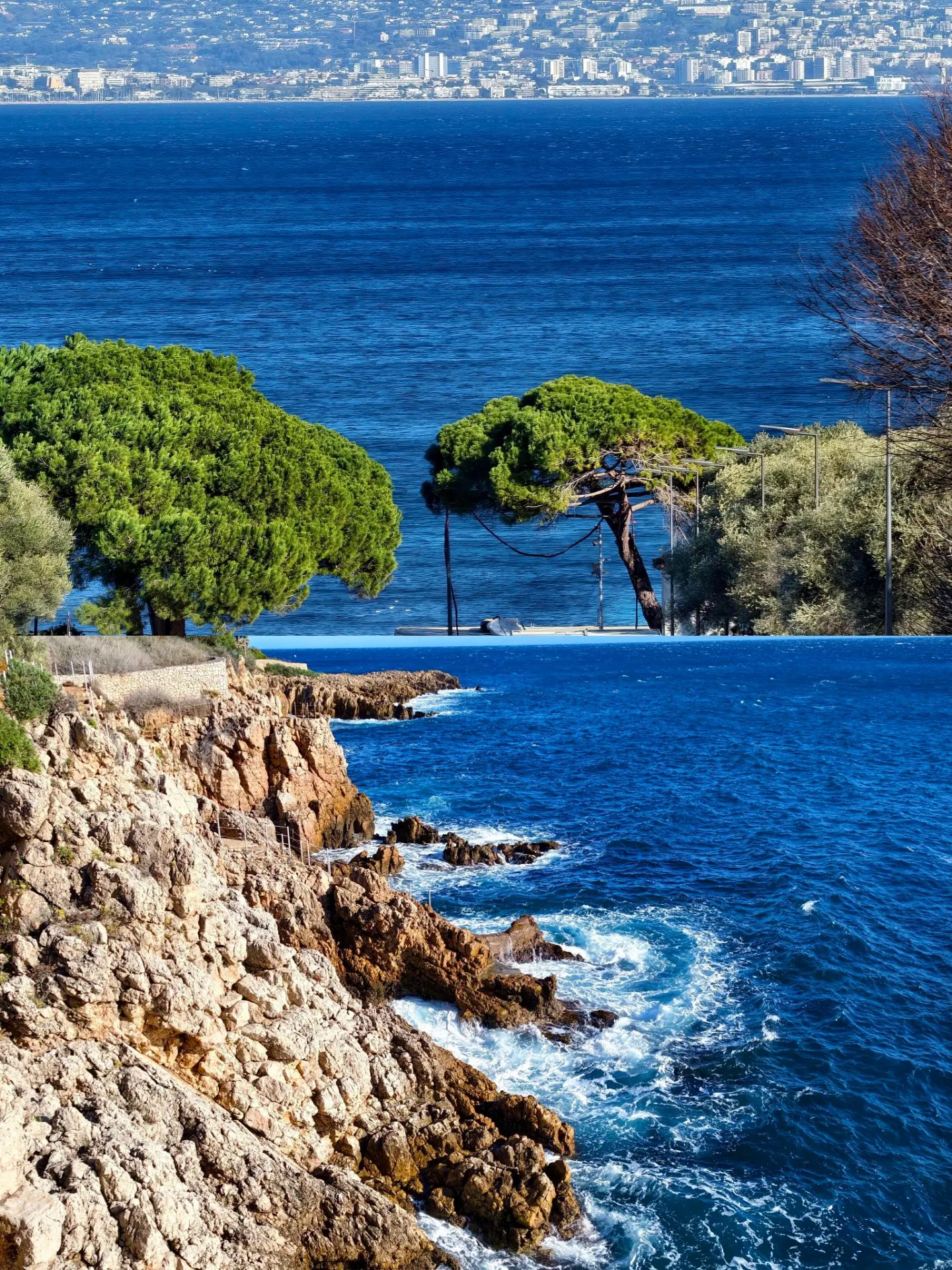 Provence’s Four-Day Purple Dream