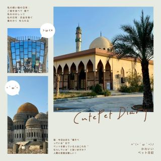 คู่มือการท่องเที่ยวเมืองเก่าโมซุล