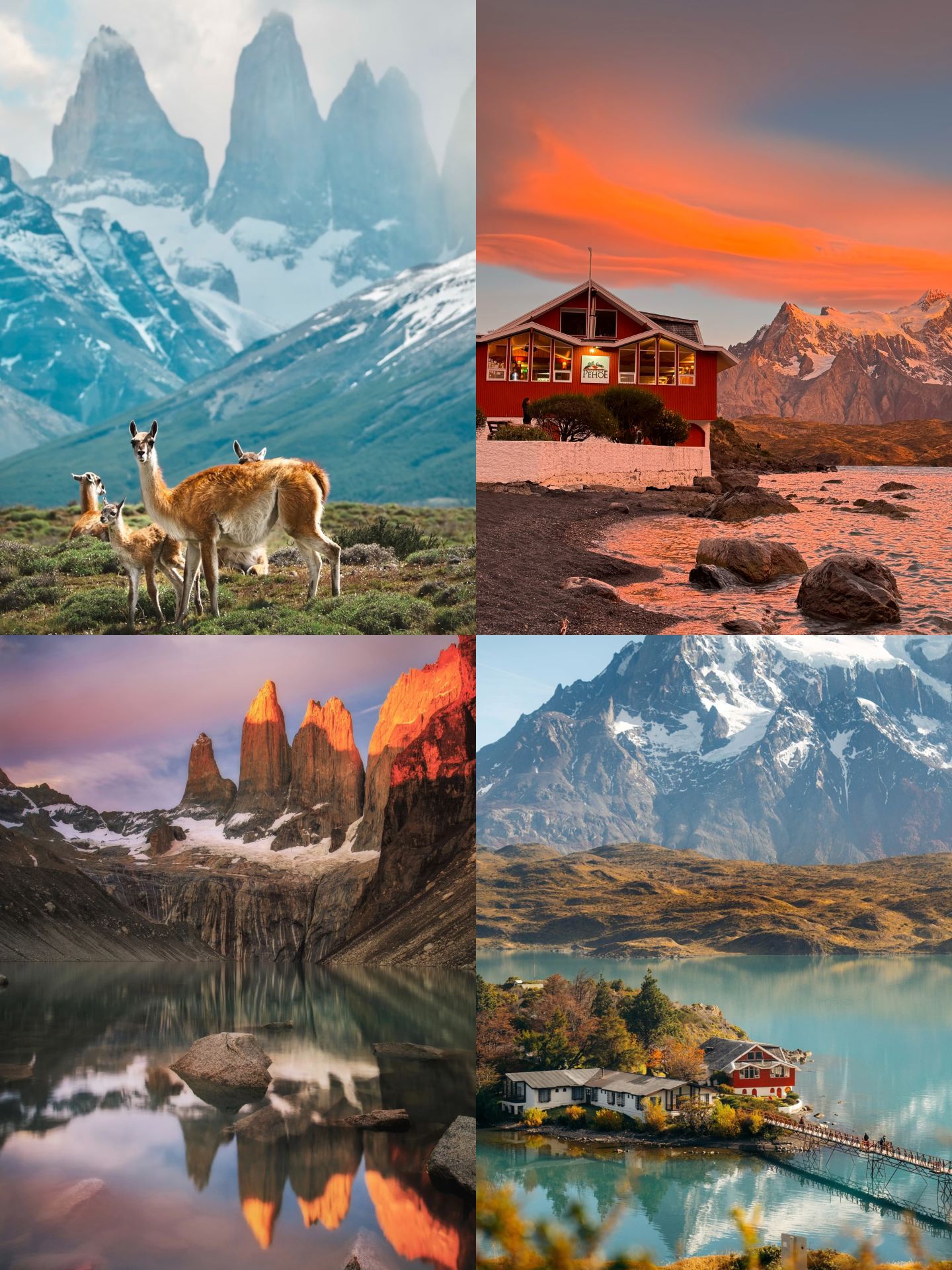 Màu xanh Patagonia: Một hành trình chữa lành đến Vườn quốc gia Torres del Paine