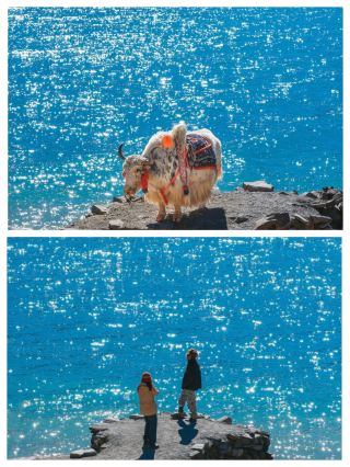 Winter in Tibet｜This Lhasa sunbathing guide is so healing it leaves you speechless