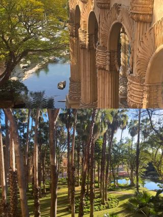 Live in an African Fairy Tale! The Ultimate Luxury Guide to Sun City Palace Hotel