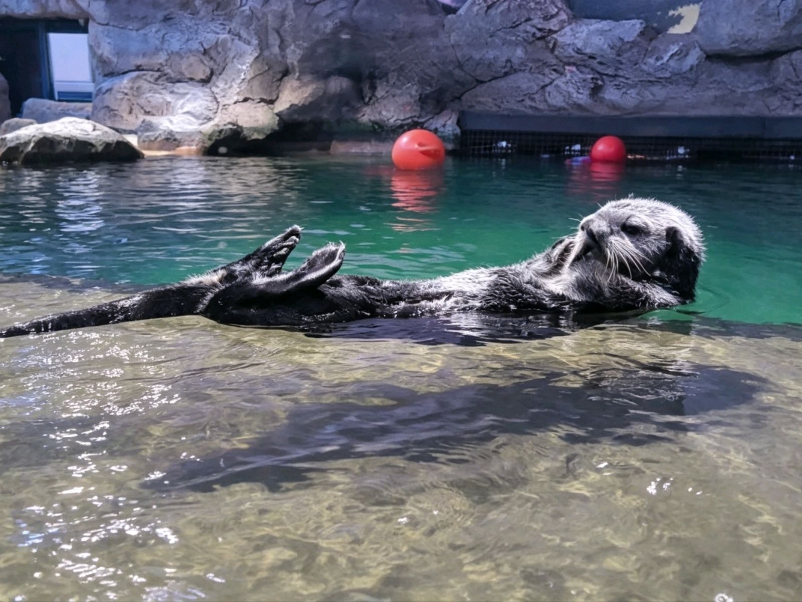 씨 라이프 버밍엄(SEA LIFE Birmingham): 해저 모험이 기다리는 가족 친화적인 축구 여행 코스