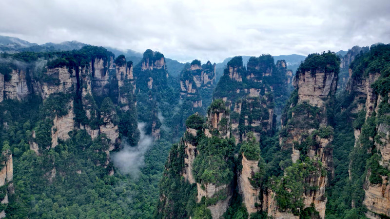 Explore Yangjiajie and take in the unique peak wall scenery | Trip