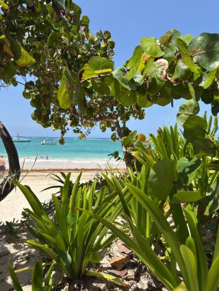 Beautiful Resort With Minor Drawbacks