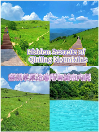 Head to the green wilderness of Qinling and meet the Shaanxi version of Altay in Liuba