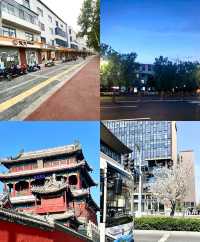 雄安+保定3天2晚 頂配親子自駕遊