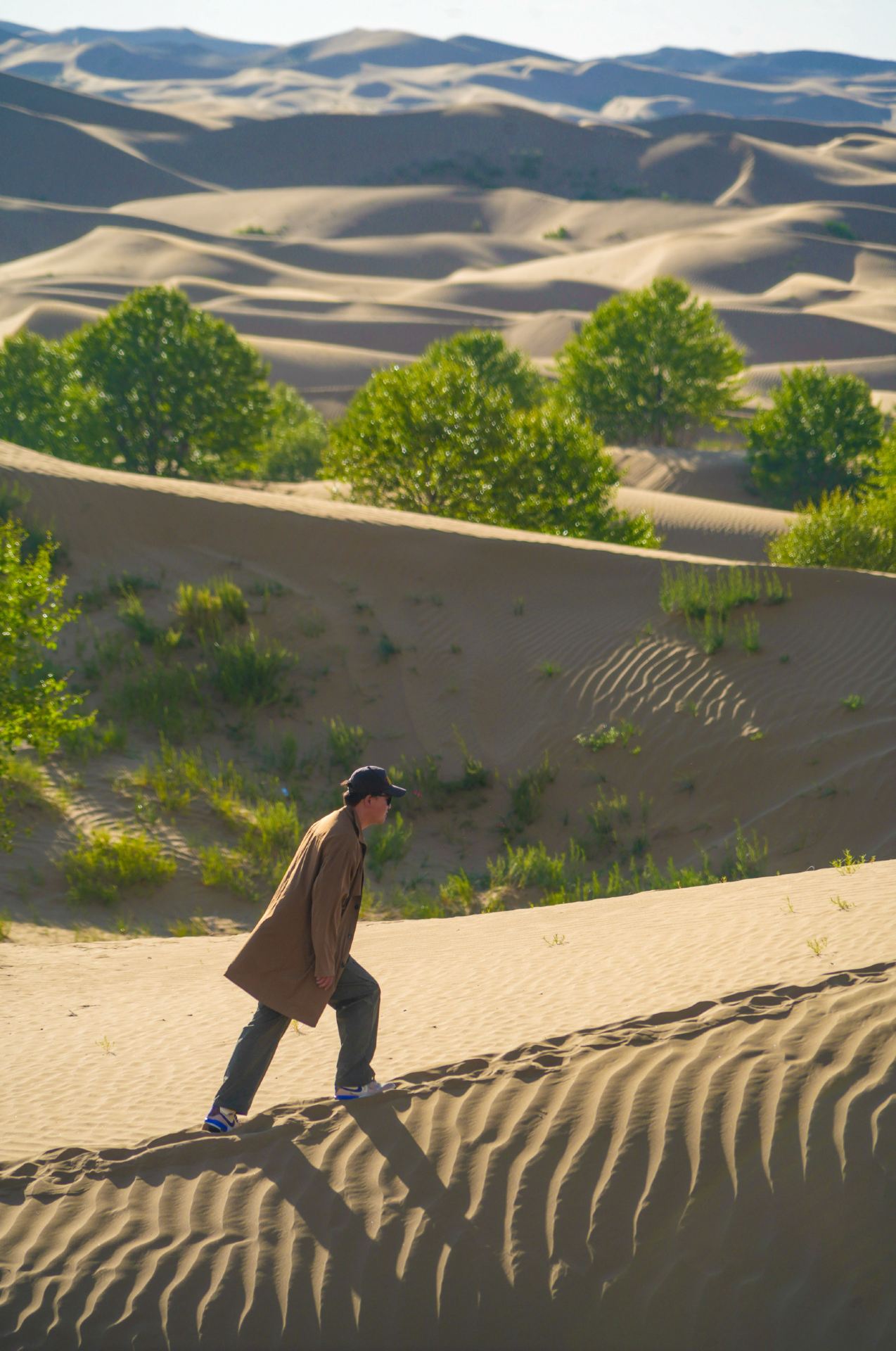 Qinghai | Guinan → Guide: Experience endless blue waters amidst vast desert sands