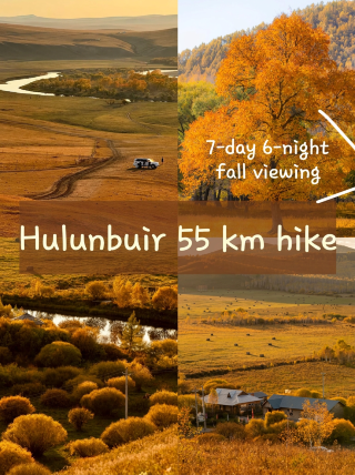 Autumn in the Greater Khingan Mountains is incredible: Venture into a golden sea of forests from September–October
