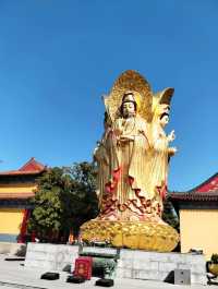 被本地人私藏的「小江南」！古寺+泉水+竹林，99%的人不知道