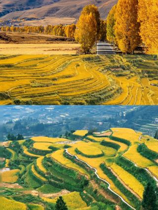 2-hour high-speed train ride away! Autumn wonderland in Congjiang Dong Village | Travel diary