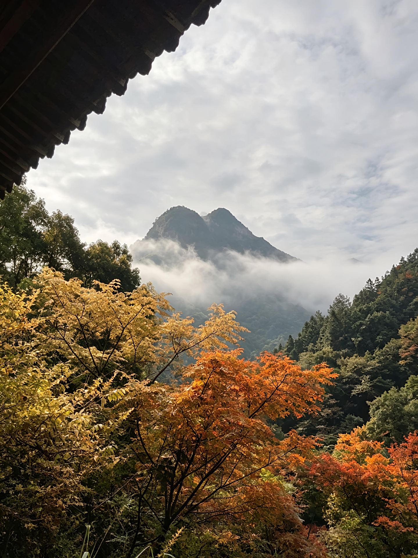 撫州大覺山，秋日赴仙山，雲海禪林治癒人心