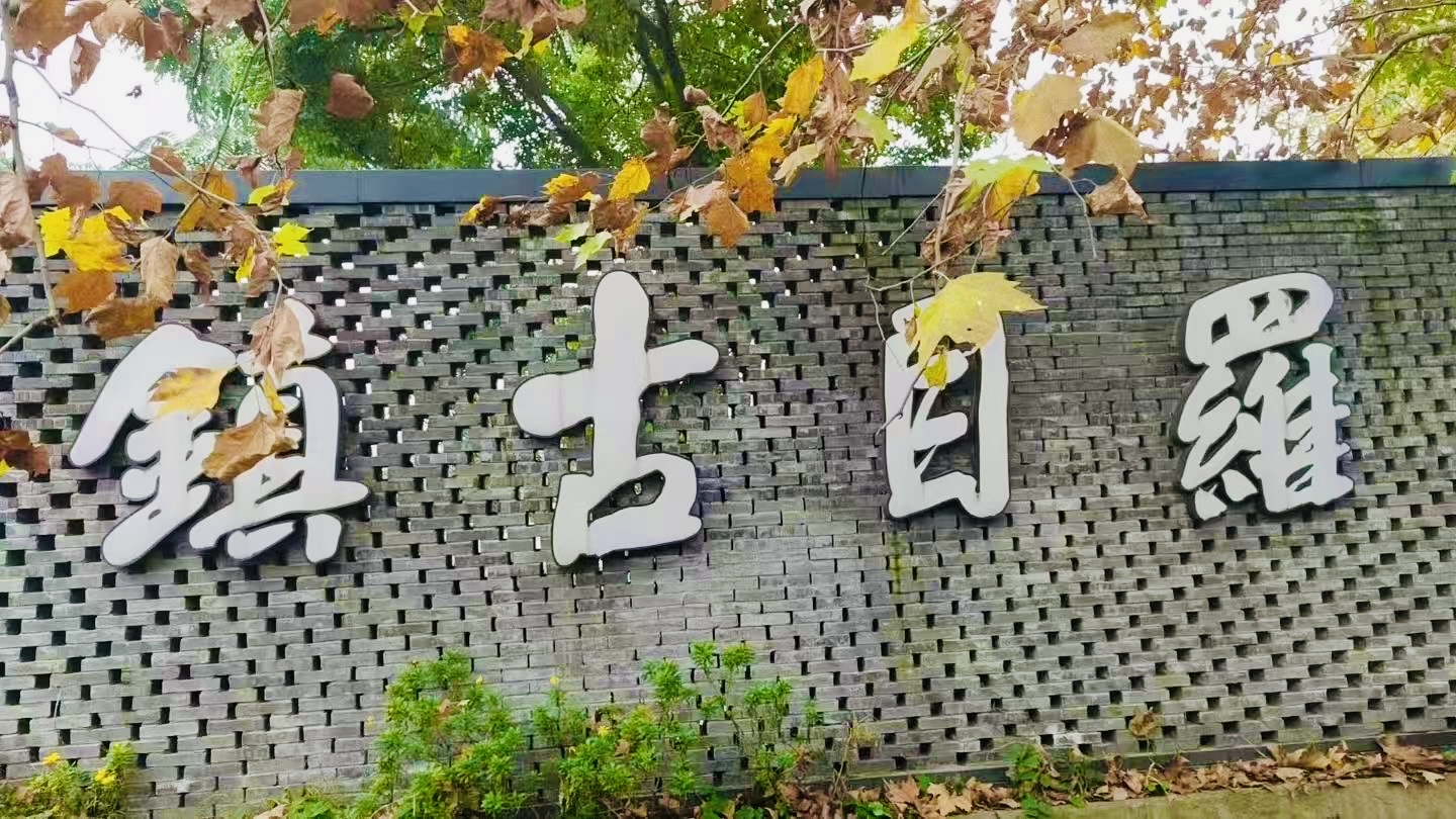 I'm coming to Luomu Ancient Town today! 🥳🥳