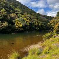 Day trip to Arashiyama- Japan