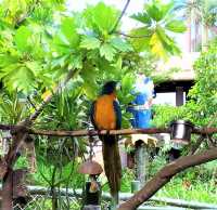 Ocean Park Hong Kong