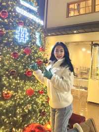 🎄대형트리 맛집 청주 성안길 원탑 카페 #1