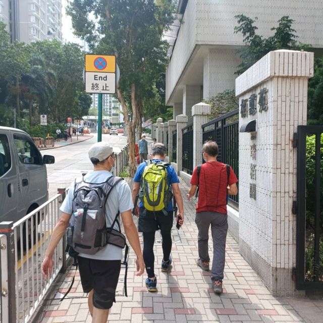 從鰂魚涌步行至大潭家樂徑途經小馬山