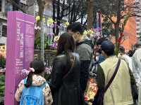 Colourful Flowers for Chinese New Year