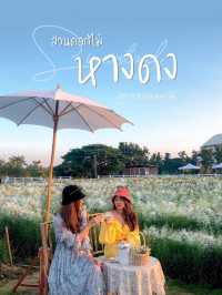 สวนดอกไม้หางดง เชียงใหม่💐🌼