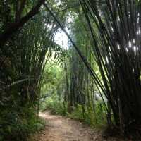 อุทยานแห่งชาติเขาสก🌿