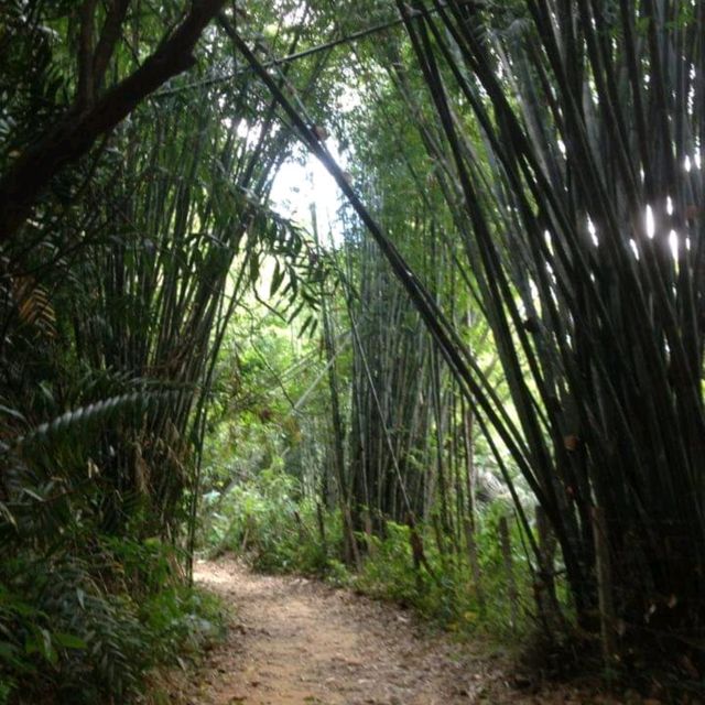 อุทยานแห่งชาติเขาสก🌿