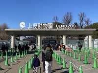 東京・上野。やっぱり『パンダ』の人気は絶大。日本で最初の動物園『上野動物園』