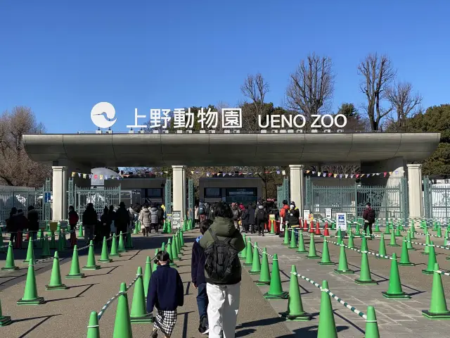 東京・上野。やっぱり『パンダ』の人気は絶大。日本で最初の動物園『上野動物園』