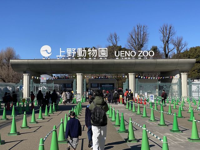 東京・上野。やっぱり『パンダ』の人気は絶大。日本で最初の動物園『上野動物園』